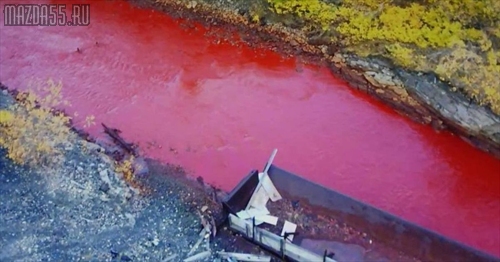 Названа причина окрашивания реки Далдыкан в багровый цвет